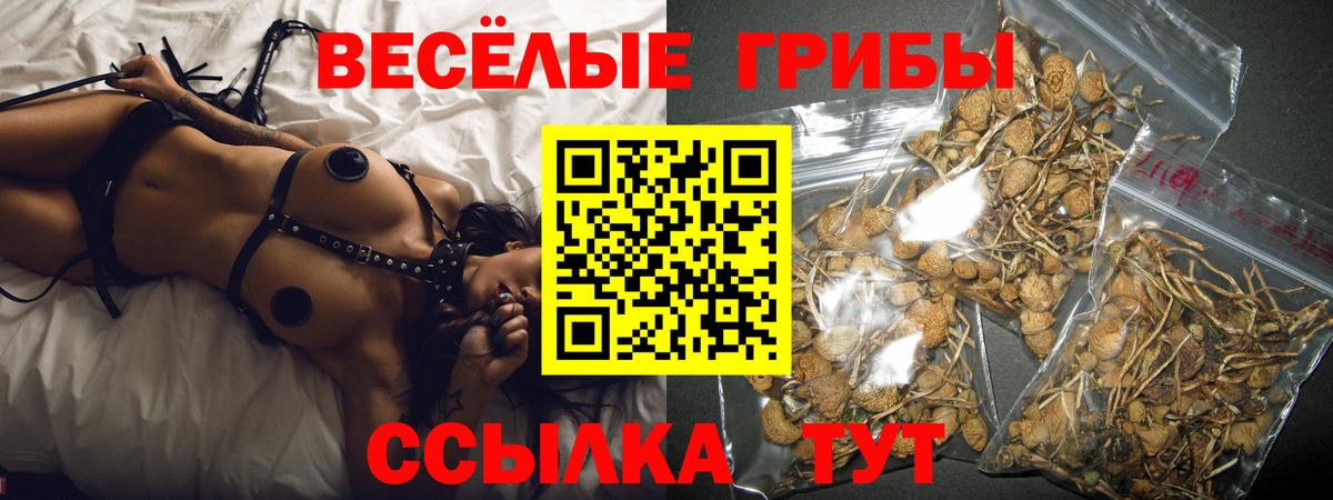Галлюциногенные грибы Cubensis  Вход с VPN  Гусиноозёрск  Галлюциногенные грибы MAGIC MUSHROOMS 